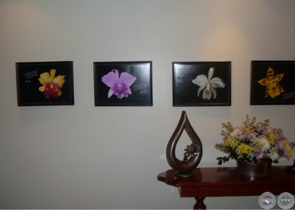 KUÑA - VERNISSAGE EN HOMENAJE A LA MUJER PARAGUAYA (ROSANNA LÓPEZ VERA)